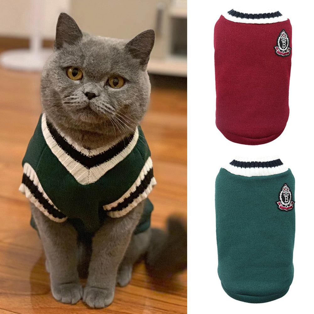 Trendy Katten Kostuum/Sweater